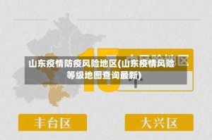 山东疫情防疫风险地区(山东疫情风险等级地图查询最新)