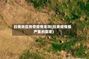 拉美地区热带疫情走向(拉美疫情最严重的国家)