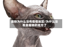 宠物为什么没有疫情地区/为什么没有卖宠物的地方了
