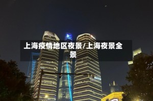 上海疫情地区夜景/上海夜景全景