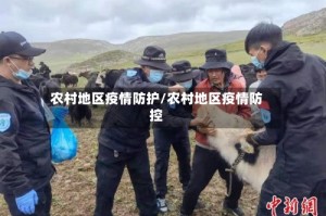 农村地区疫情防护/农村地区疫情防控