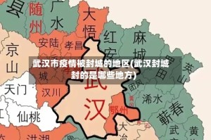 武汉市疫情被封城的地区(武汉封城封的是哪些地方)