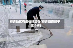 柳青地区有疫情吗现在(柳青街道属于哪个市)