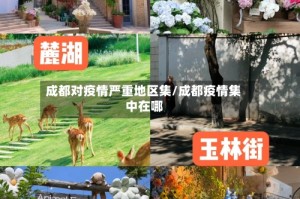 成都对疫情严重地区集/成都疫情集中在哪