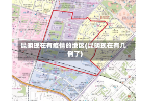 昆明现在有疫情的地区(昆明现在有几例了)
