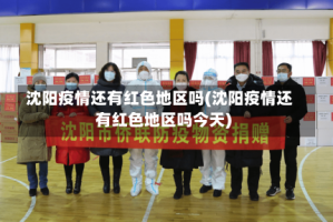 沈阳疫情还有红色地区吗(沈阳疫情还有红色地区吗今天)