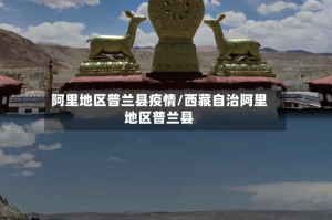 阿里地区普兰县疫情/西藏自治阿里地区普兰县