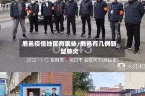 鹿邑疫情地区有哪些/鹿邑有几例新型肺炎