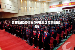 黄石地区疫情图(黄石地区疫情图最新)
