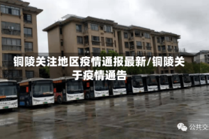 铜陵关注地区疫情通报最新/铜陵关于疫情通告