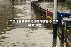广东地区会洪灾吗现在有疫情吗(广东会洪水吗)