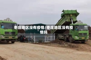 枣庄地区没有疫情/枣庄地区没有疫情吗