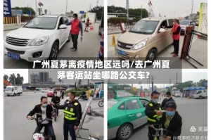 广州夏茅离疫情地区远吗/去广州夏茅客运站坐哪路公交车?