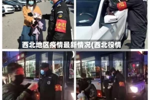 西北地区疫情最新情况(西北役情)