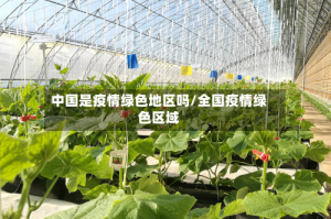 中国是疫情绿色地区吗/全国疫情绿色区域
