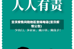 宣汉疫情风险地区查询电话(宣汉疫情公告)