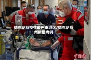 德克萨斯疫情最严重地区/德克萨斯州新增病例