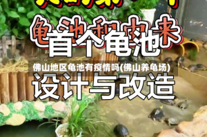 佛山地区龟池有疫情吗(佛山养龟场)