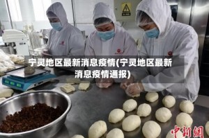 宁灵地区最新消息疫情(宁灵地区最新消息疫情通报)