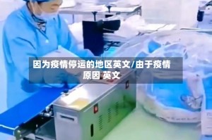 因为疫情停运的地区英文/由于疫情原因 英文