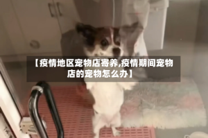 【疫情地区宠物店寄养,疫情期间宠物店的宠物怎么办】