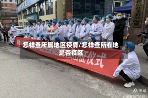 怎样查所属地区疫情/怎样查所在地是否疫区