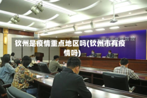 钦州是疫情重点地区吗(钦州市有疫情吗)