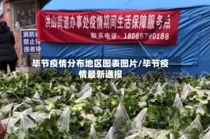 毕节疫情分布地区图表图片/毕节疫情最新通报