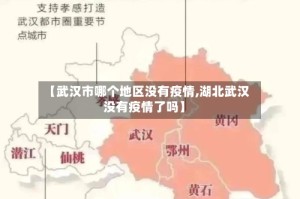 【武汉市哪个地区没有疫情,湖北武汉没有疫情了吗】