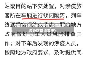 疫情武汉涉疫地区查询(疫情武汉涉疫地区查询系统)