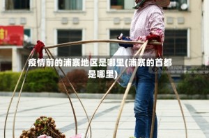 疫情前的浦寨地区是哪里(浦寨的首都是哪里)