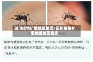 四川疫情扩散地区地图/四川疫情扩散地区地图查询