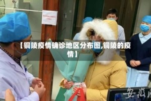 【铜陵疫情确诊地区分布图,铜陵的疫情】