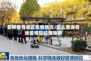 怎样查各地区疫情情况/怎么查询各地疫情防控措施啊