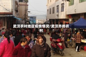 武汉农村地区疫情情况/武汉市的农村