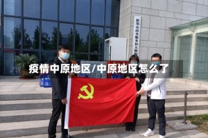 疫情中原地区/中原地区怎么了