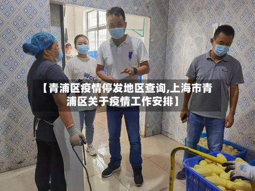 【青浦区疫情停发地区查询,上海市青浦区关于疫情工作安排】-第1张图片