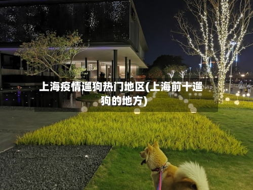 上海疫情遛狗热门地区(上海前十遛狗的地方)-第1张图片