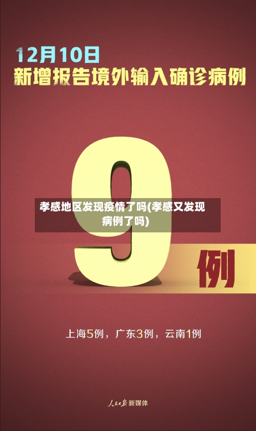 孝感地区发现疫情了吗(孝感又发现病例了吗)-第1张图片