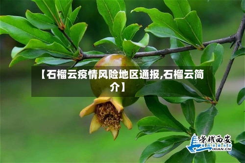 【石榴云疫情风险地区通报,石榴云简介】-第2张图片