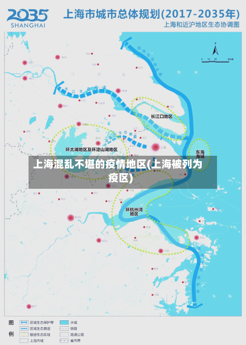 上海混乱不堪的疫情地区(上海被列为疫区)-第2张图片