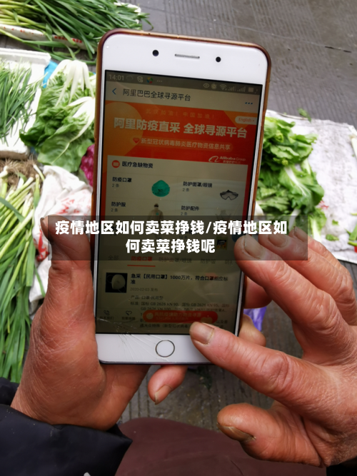 疫情地区如何卖菜挣钱/疫情地区如何卖菜挣钱呢-第1张图片