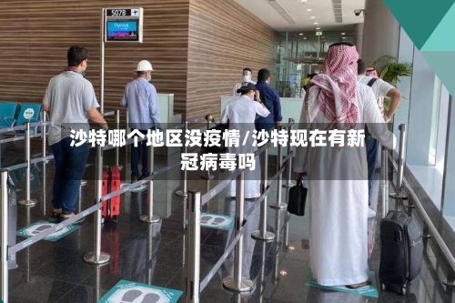 沙特哪个地区没疫情/沙特现在有新冠病毒吗-第1张图片