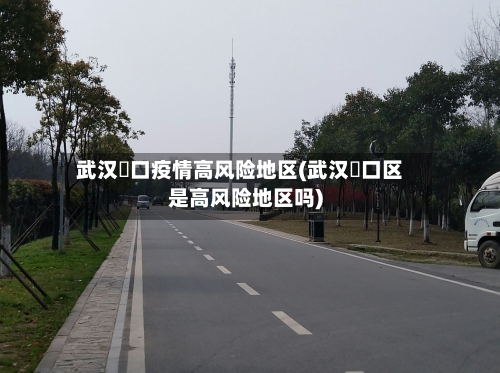 武汉硚口疫情高风险地区(武汉硚口区是高风险地区吗)-第3张图片
