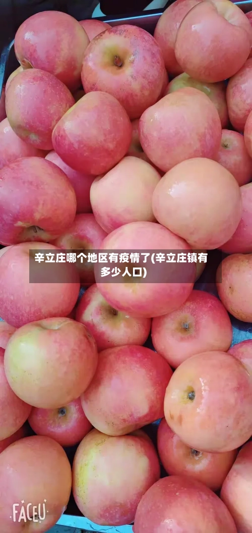 辛立庄哪个地区有疫情了(辛立庄镇有多少人口)-第2张图片