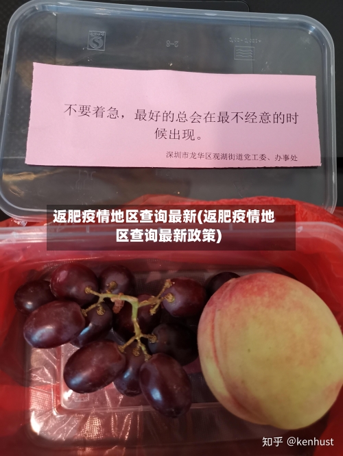 返肥疫情地区查询最新(返肥疫情地区查询最新政策)-第1张图片