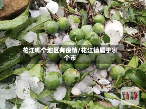 花江哪个地区有疫情/花江镇属于哪个市-第2张图片
