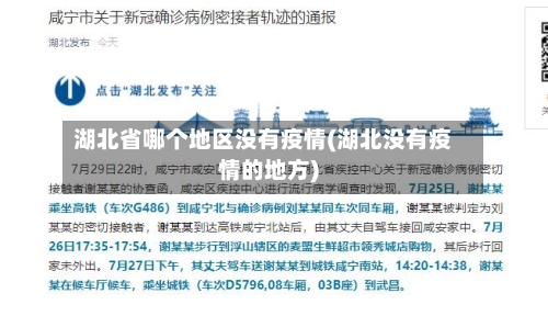 湖北省哪个地区没有疫情(湖北没有疫情的地方)-第1张图片