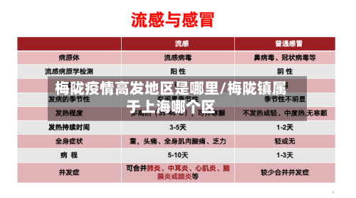梅陇疫情高发地区是哪里/梅陇镇属于上海哪个区-第3张图片