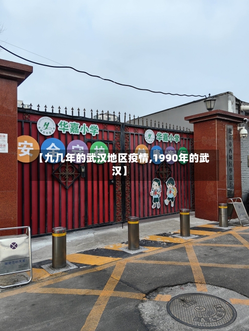 【九几年的武汉地区疫情,1990年的武汉】-第1张图片